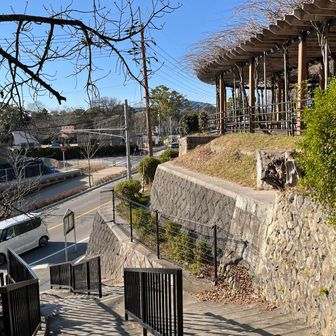 動物園前の公園まで戻ってきました。