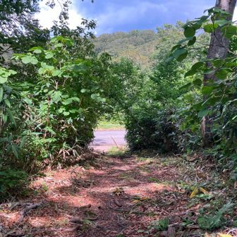 長い下りが終わってもう少しで秣岳の登山口です。
久しぶりの山行きに右腿が悲鳴を上げてしまった。だけどこれもまた訓練😢