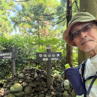 山頂も制覇。こちらがメインのルートだった