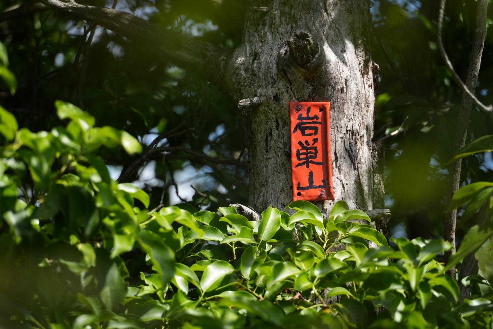 高いところに岩巣山の📛