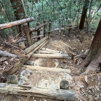 きゅうさかの道で下山❗️