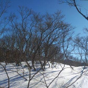 強風🌀時々爆風🌀🌀
頂上で休憩できないよ〜😁