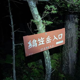 朝日がみたくてみたくてみたくて仕方ないのでナイトハイク。
実はとても苦手です。
ヘッデンの性能が悪すぎることを確認しました。