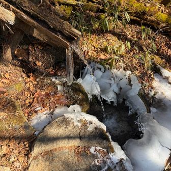 笠取小屋を降ってすぐのところに水場あり