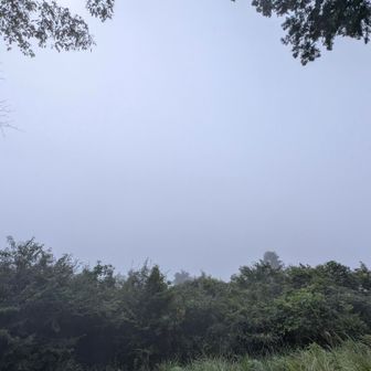 景信山へ到着！
今日も見事な真っ白😅
