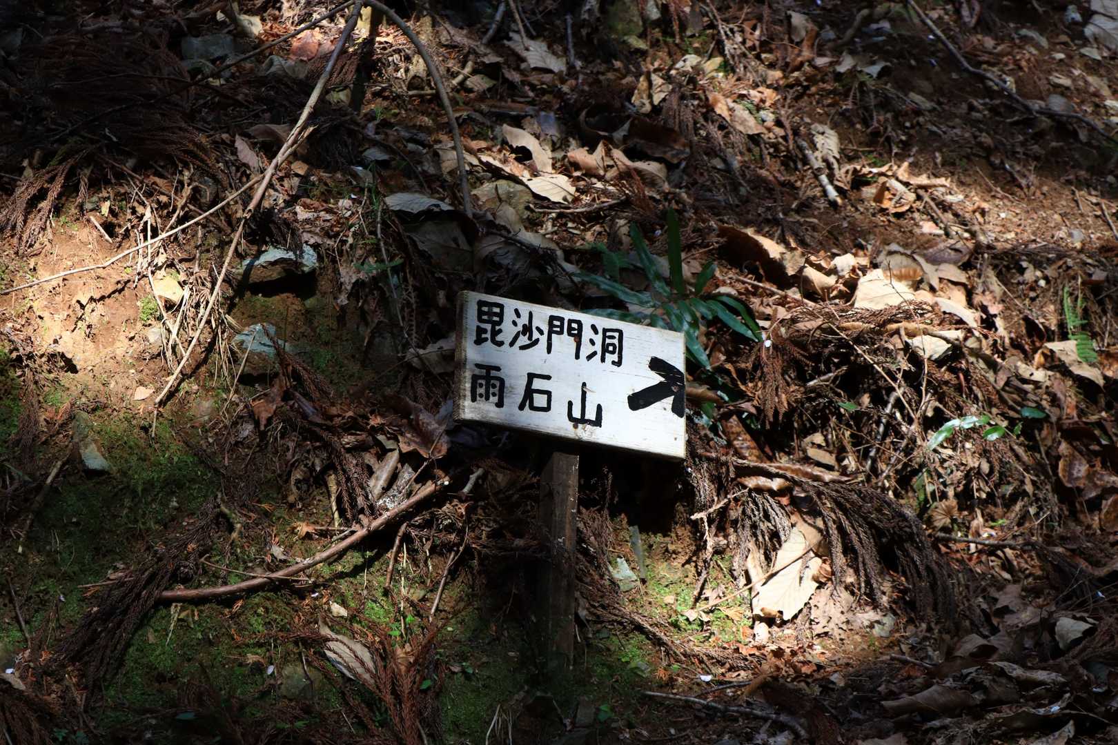 標識に沿って、まずは毘沙門洞を目指します。