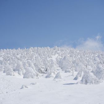 西吾妻山のスノモンもいいですね～
秋田青森に負けてない💪