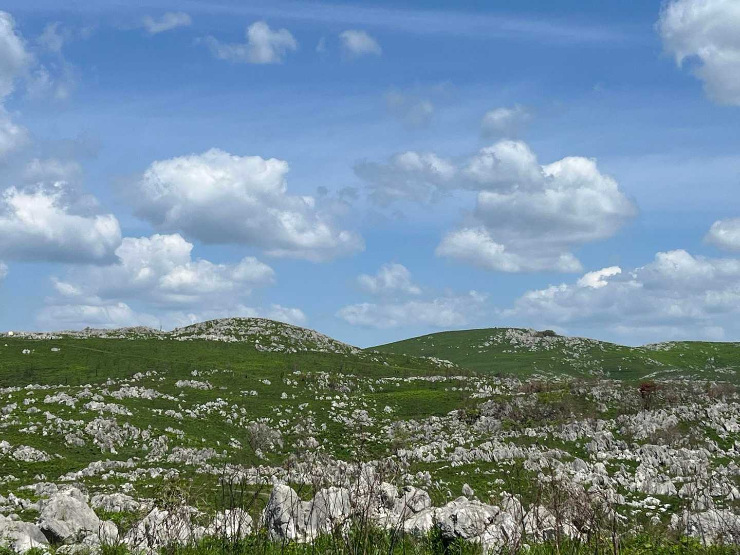 若竹山 往復コースの写真