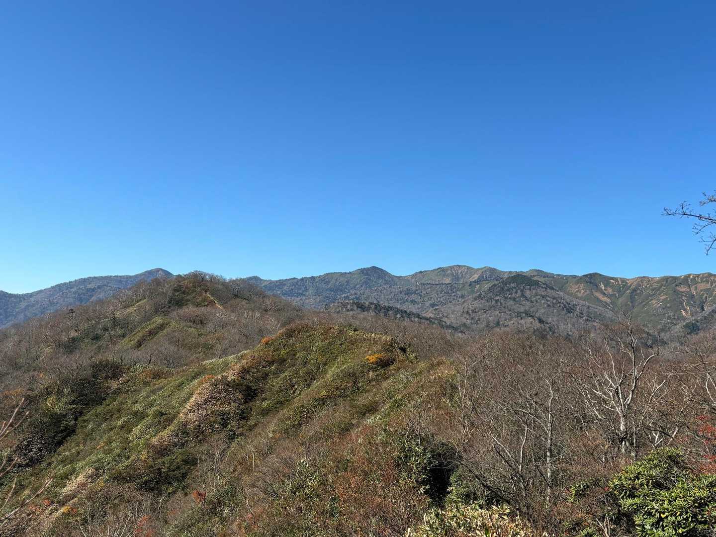 稜線にでたー。