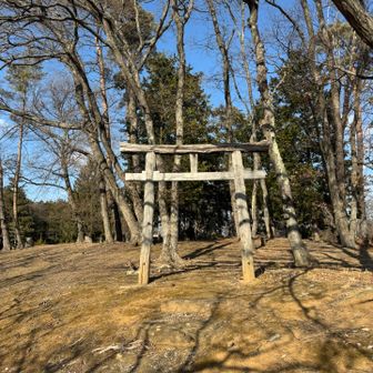 中山霊園まで車で上って来れるのにぃ〜😅