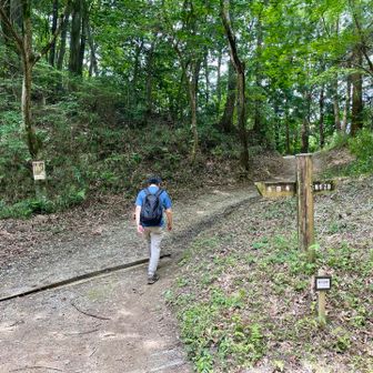 矢田丘陵を横断して近鉄東山駅へ下山するので、矢田峠を通って！