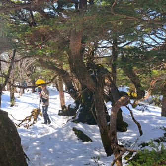 また来たいねって心はいっぱい〜でもお腹はすいたね〜って😂