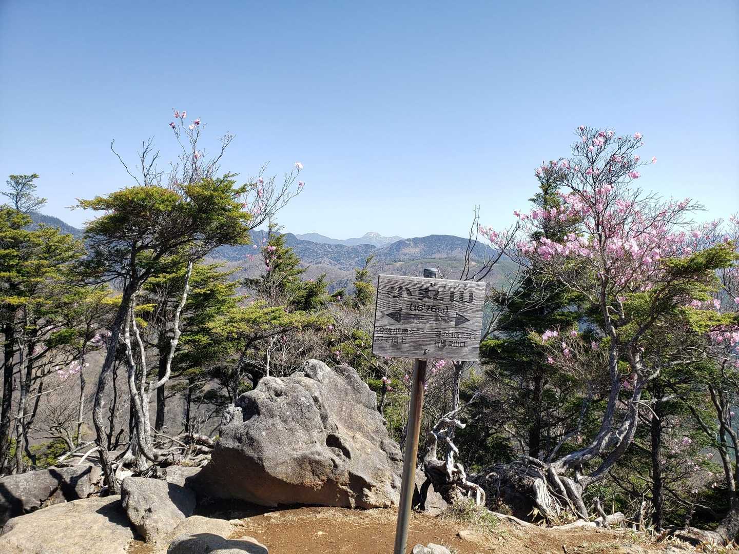 小丸山山山頂です。