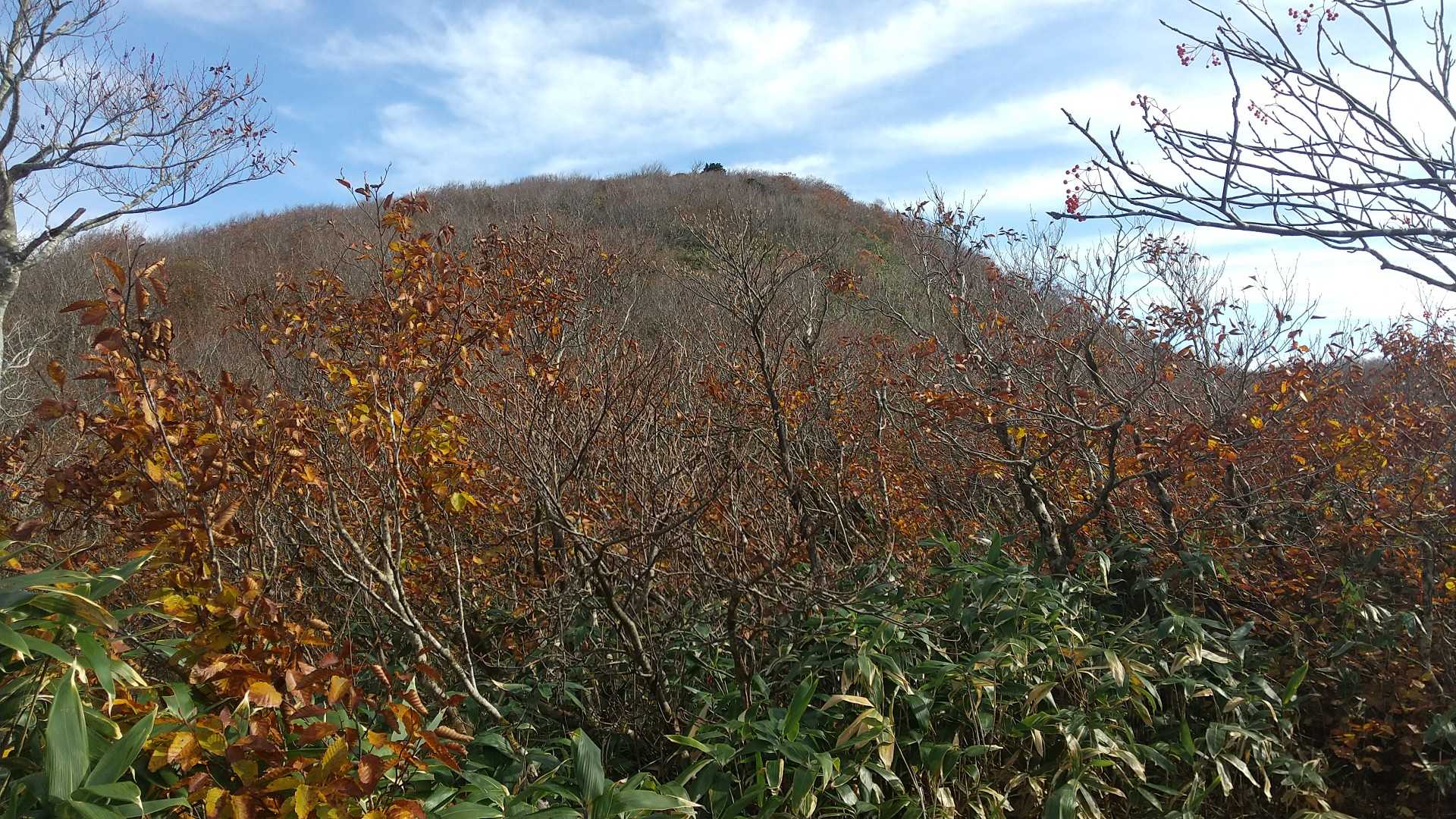 目指す翁山山頂⛰️