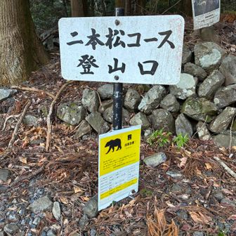 今日は二本松コースで。