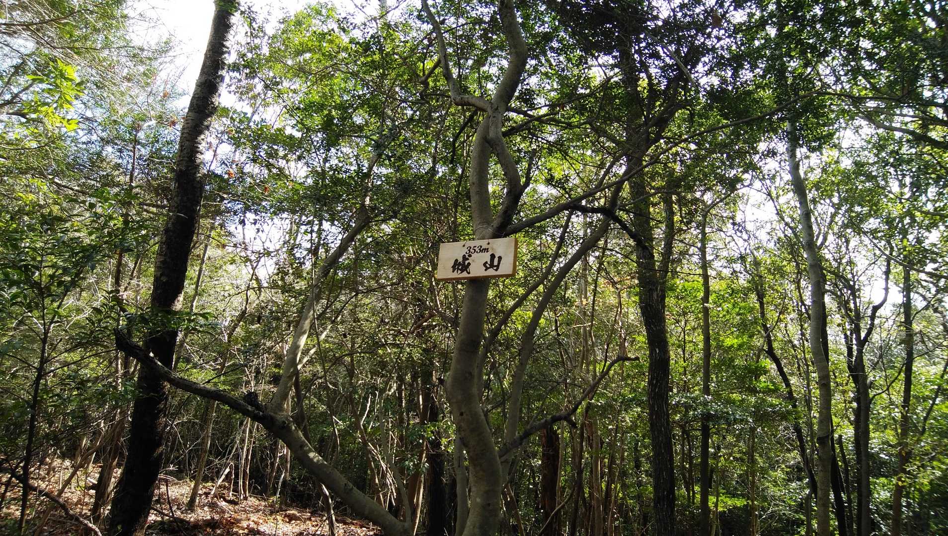 城山に到着しました
眺望ありません
バリルートで下山しました
