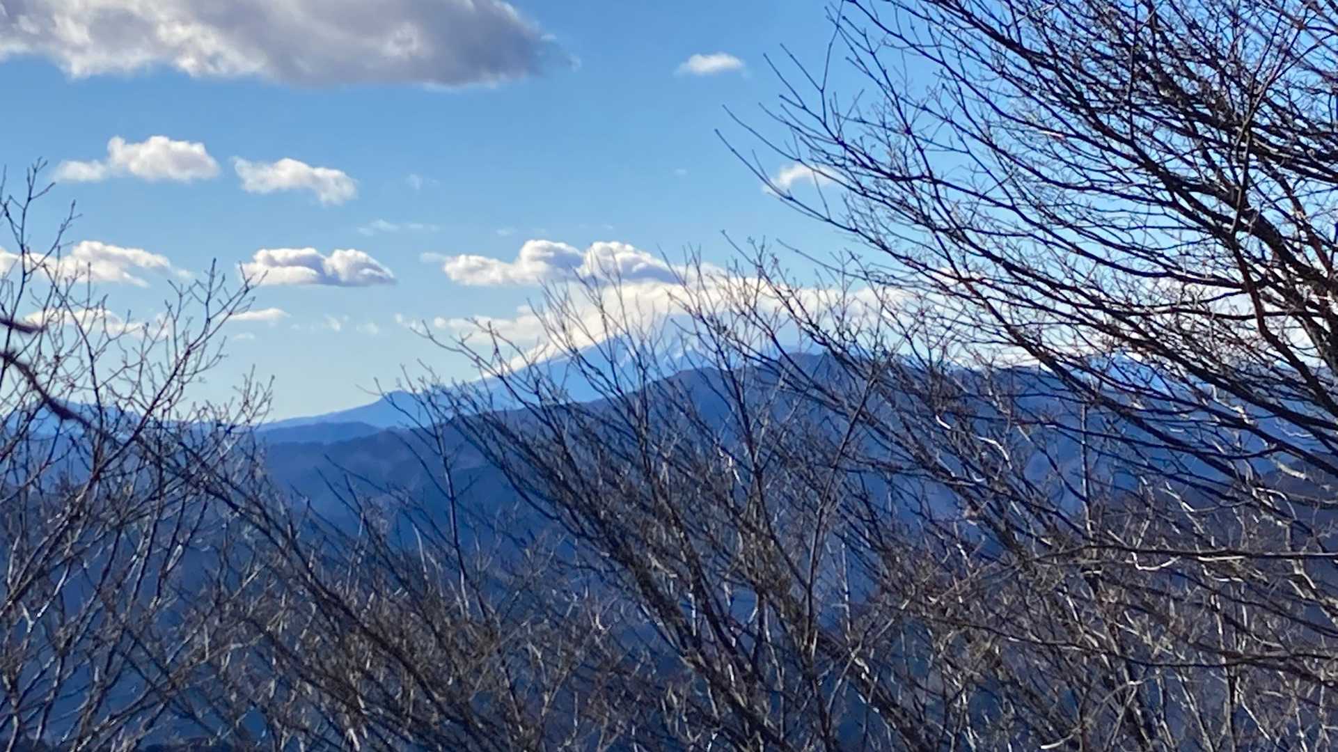 富士山はあまりよく見えませんでした。