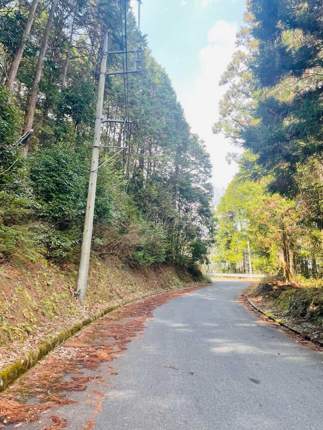 ショートコースを楽しむことに♪