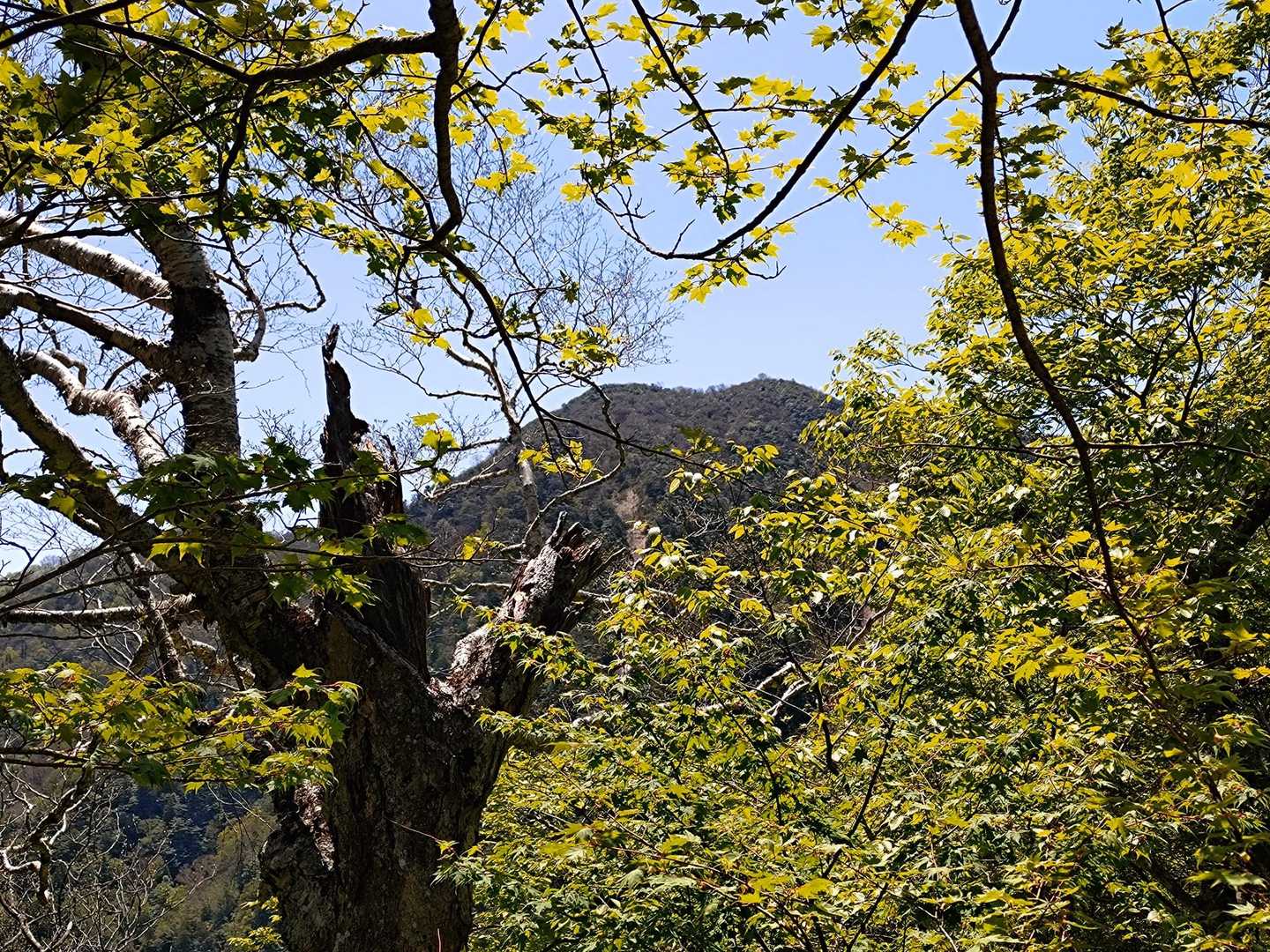 山頂がひょっこり😊
