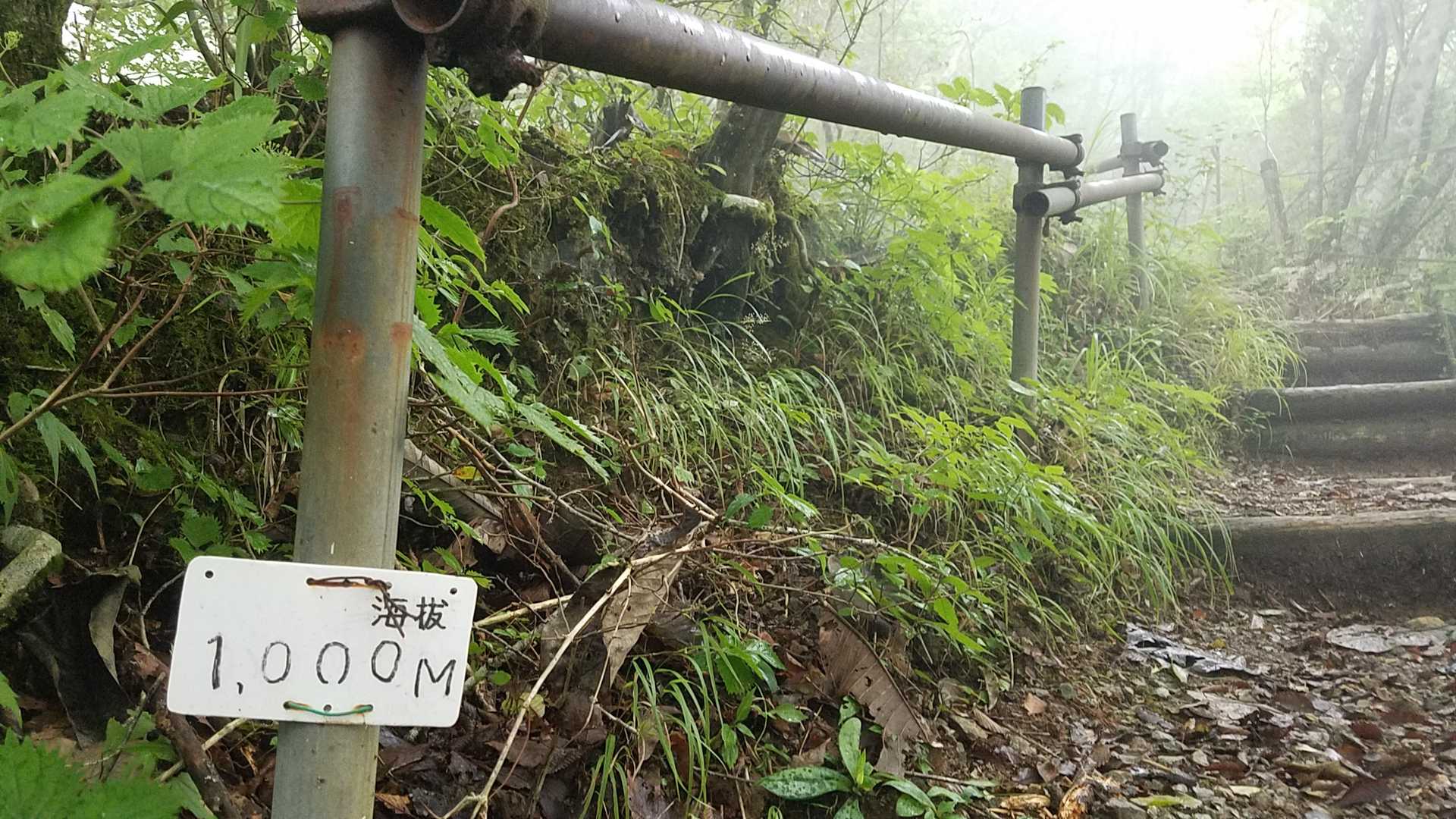 海抜1,000m