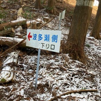 波多瀬側方面に下る(* 'ᵕ' )☆
もちグレピ🩶(σ´∀`)σｹﾞｯﾂ!!のため👍