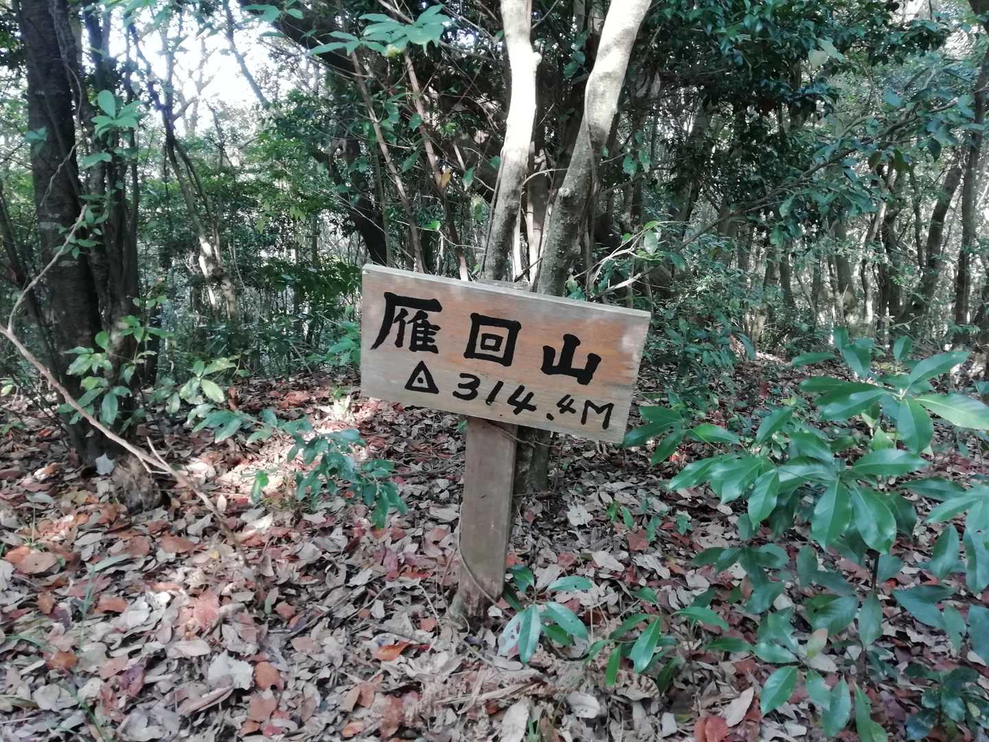 雁回山 314ｍ