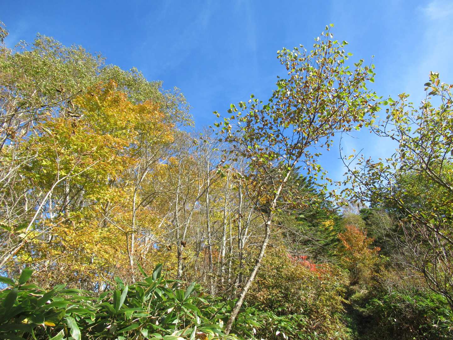 飯縄山-瑪瑙山 縦走コースの写真
