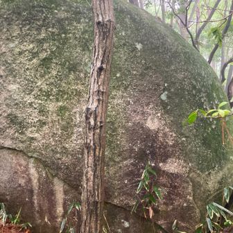 名も無き岩すら巨大