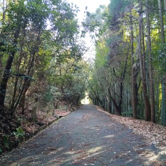 前回とは別ルートで
ここは舗装路なのね〜🤣