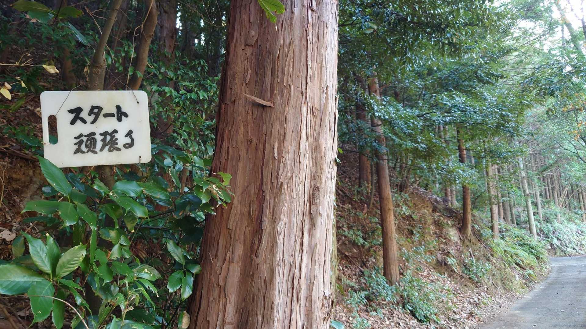 この看板はまな板