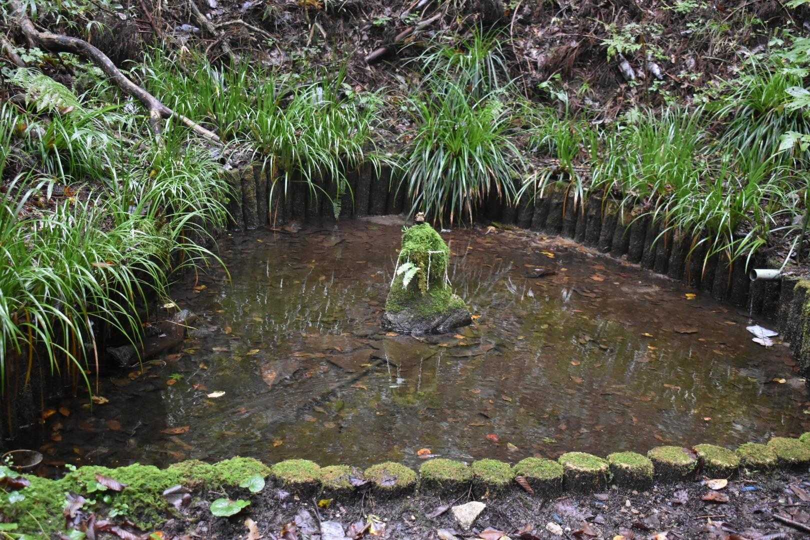 弁天池
ん？　池の真ん中に何かある…