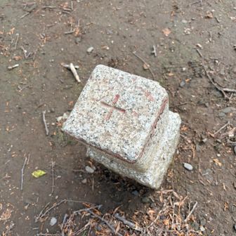 団子山のピーク？標無