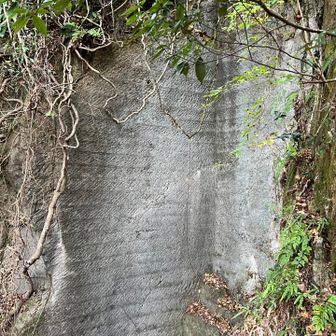 石切場の跡がある⛏️これで文字が書いてあったらポーネグリフっぽい