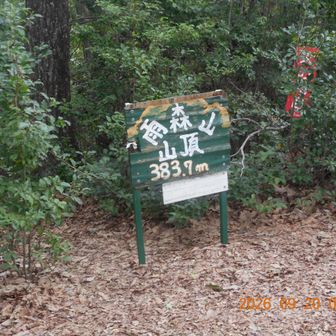 雨森山の山頂に到着