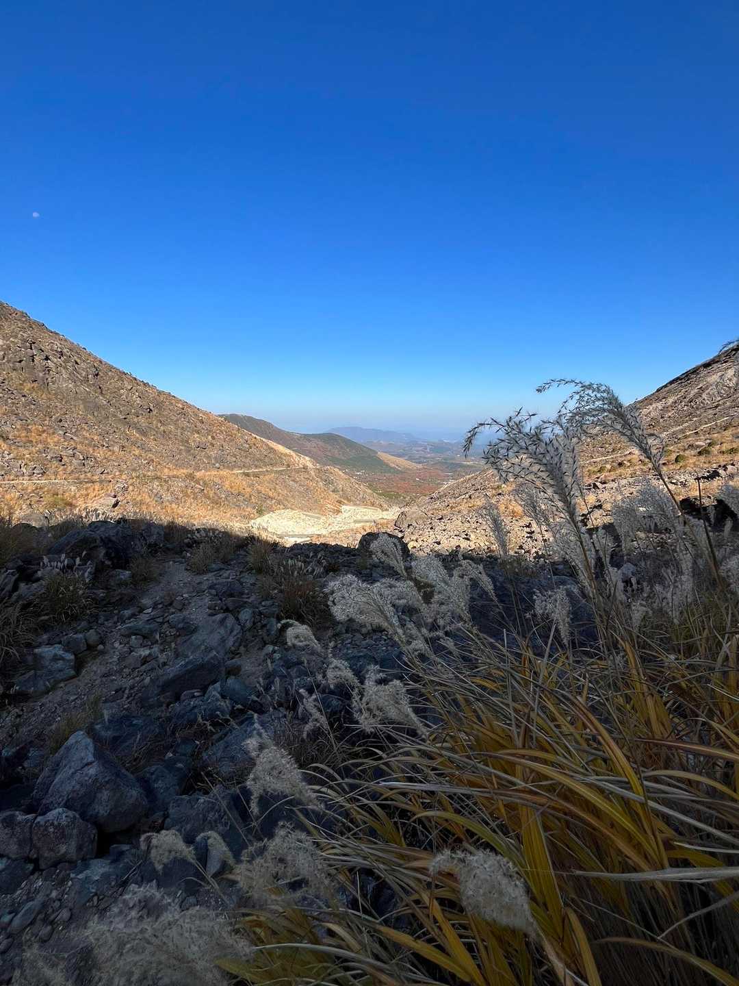 諏蛾守越-指山自然観察路入口-くじゅう登山口バス停-くじゅ 縦走コースの写真