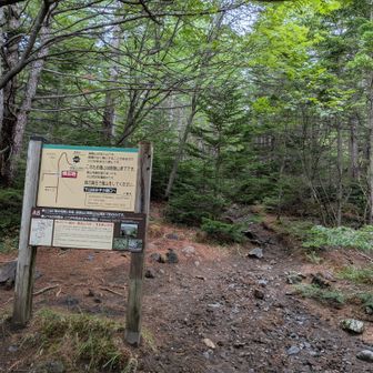 いよいよ前掛山