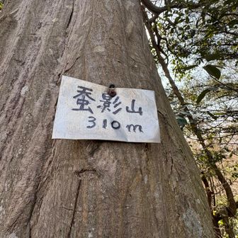 蚕影山ちゃく🙌