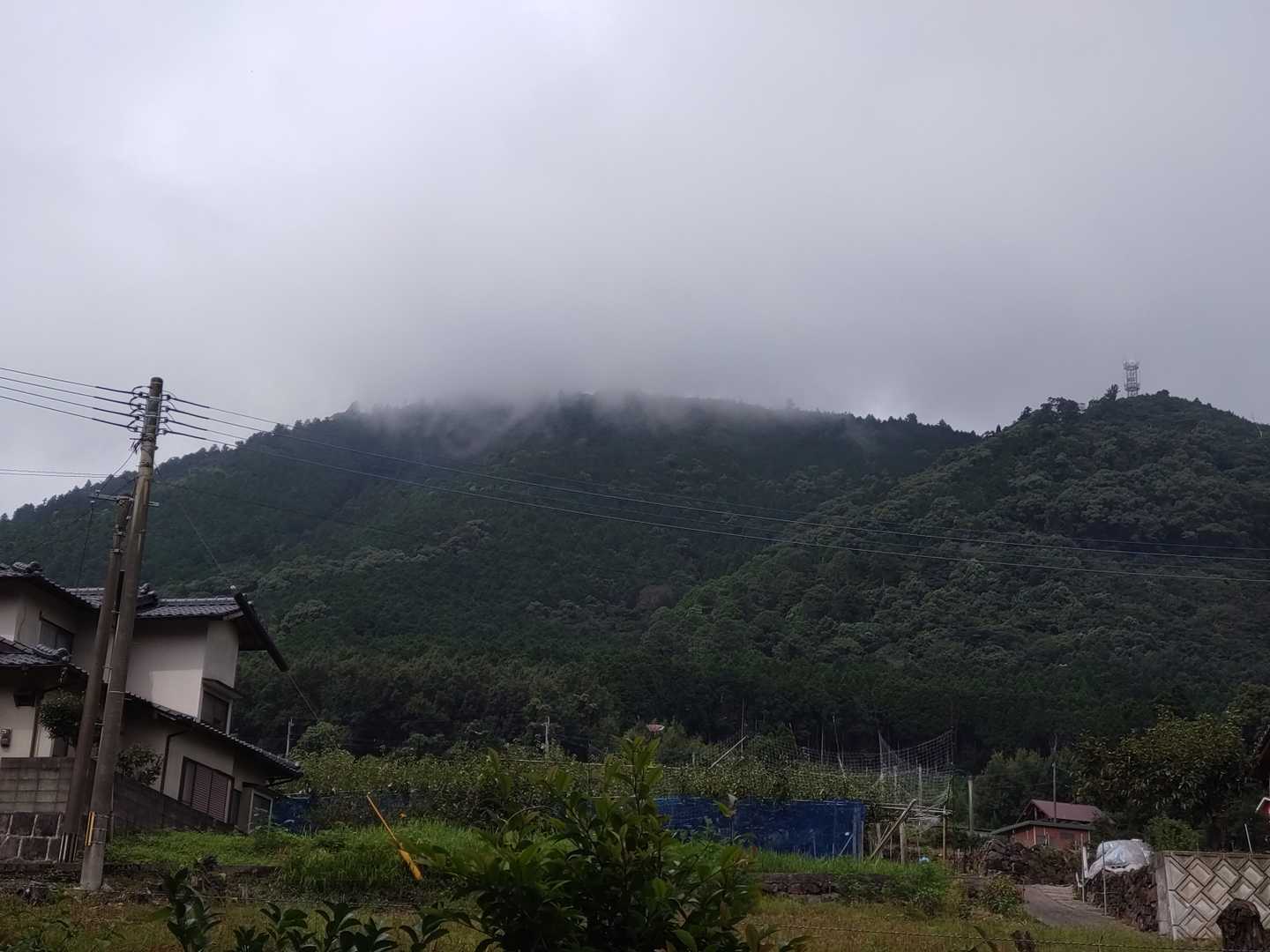 山頂、ガスってます