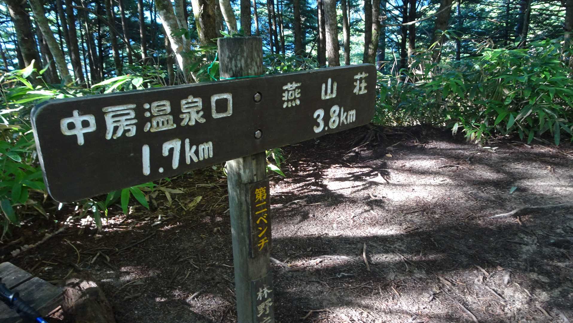 はい、第2ベンチに到着。