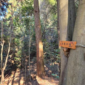 あっ、ここが金魚の池なのね？