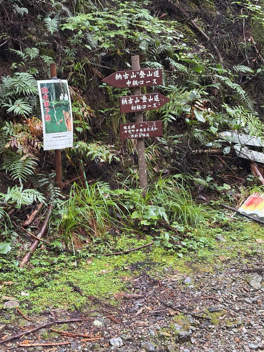 登りは中級コース