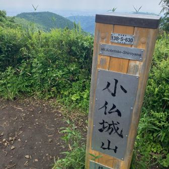小仏城山
登頂✨

定点観測📸

乗鞍のハート💚

まわりとほぼ同化してる…