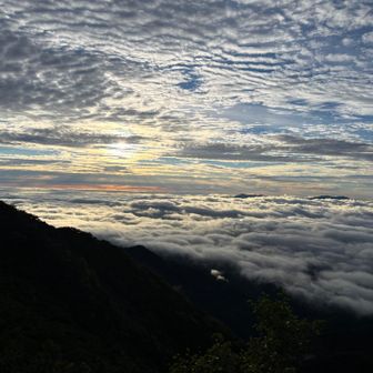 雲海綺麗でした🤩