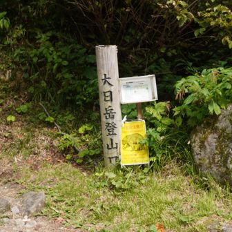 ようやく下山…  この後は称名滝を見に行こうと思いきや、11時のバス🚌に乗り遅れると次は２時間待たされます🚌