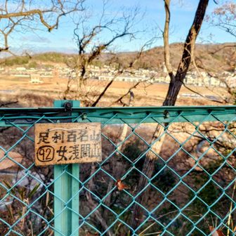 渡良瀬橋手前から⛩️
８ピーク目🗻