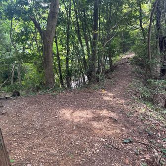 東織部ヶ峰へはここで道路に降りずにそのまま前へ。