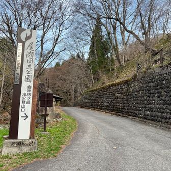 久しぶりにきました´ω`)ﾉ尾瀬❤️