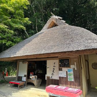 秋🍁紅葉が美しい〜✨