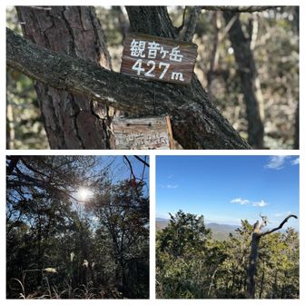 ⑧観音ケ岳
男体山や日光白根山が見えました✨