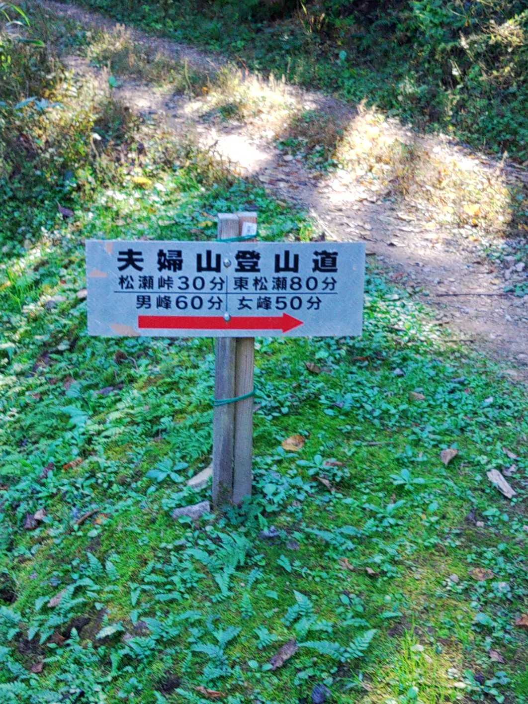 ここだけちょっと明るいが😅